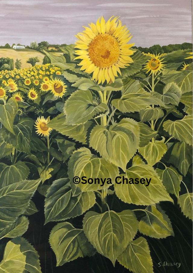 Le tournesol / The sunflower | Artwork from Hendaye